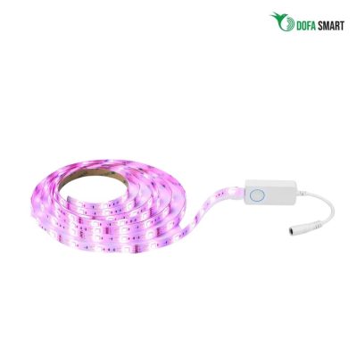 Dải đèn LED thông minh RGB + CCT Wifi + Bluetooth