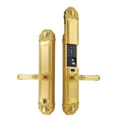 Khóa cửa đại sảnh FS039-1 24K