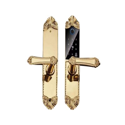 Khóa cửa đại sảnh FS119 24K