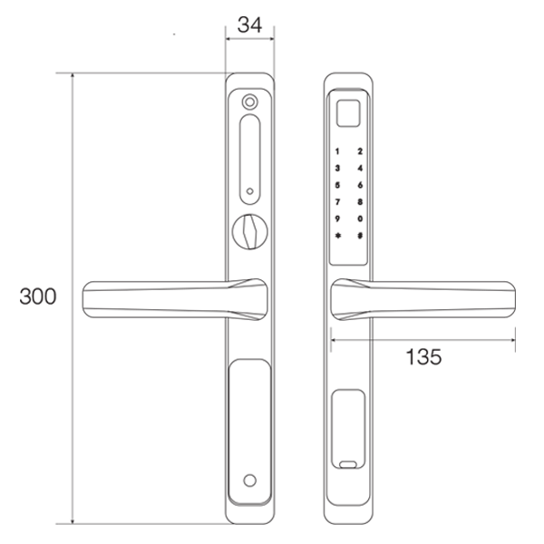 Khóa vân tay cửa nhôm FS6800APP BL