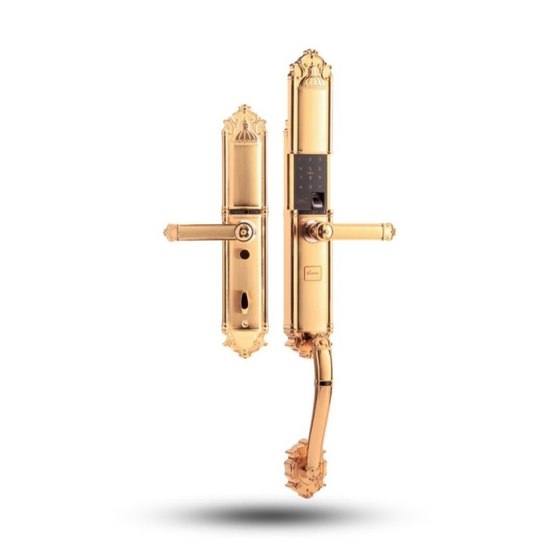 Khóa Demax EL821 GOLD, Vân tay, App Wifi, đại sảnh biệt thự - Hợp kim kẽm cao cấp, mạ vàng 24K