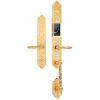 Khóa Demax EL888 24K BRASS, Vân tay, App Wifi, Đại sảnh biệt thự - Đồng nguyên chất đúc nguyên khối, mạ vàng 24K